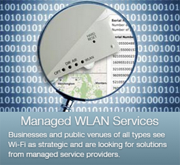 Managed Wireless LAN Services