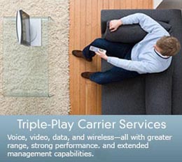 Triple-Play Carrier Services